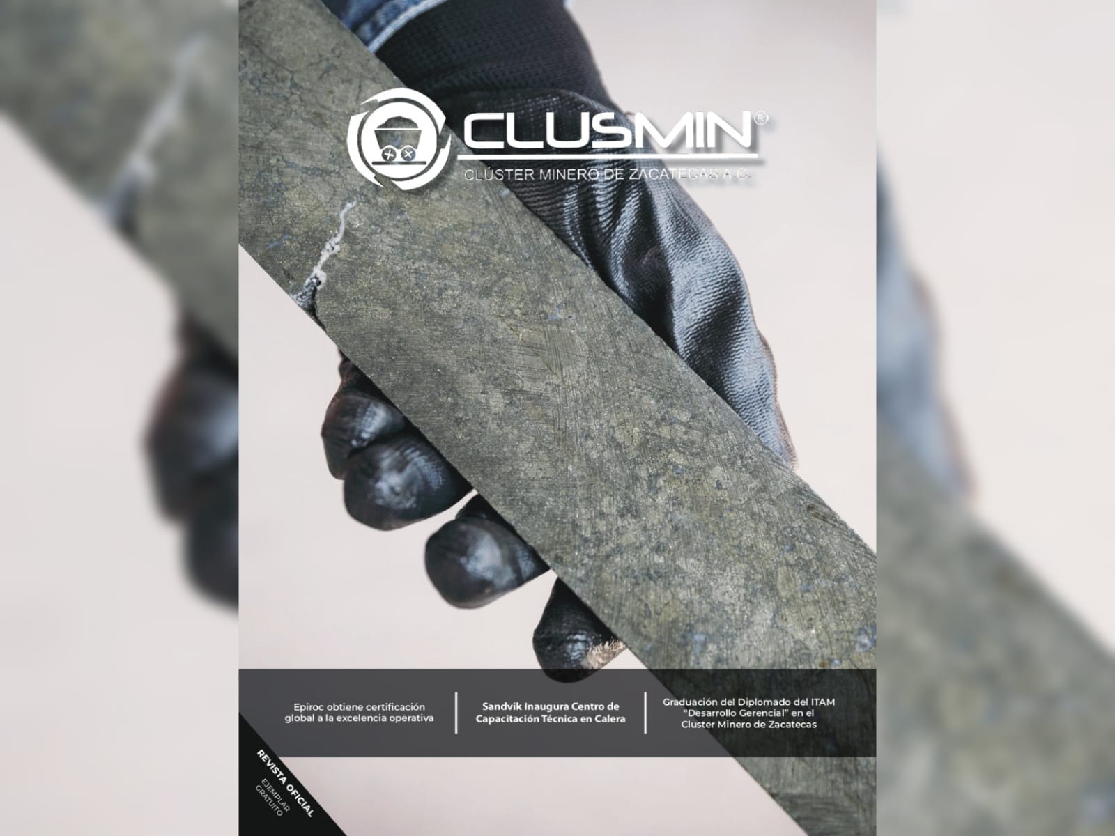 Revista Clusmin #41