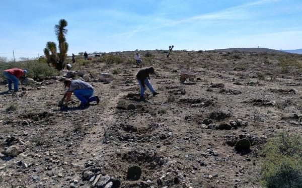 Reforesta Arian Silver en Guanajuatillo en compañía de estudiantes