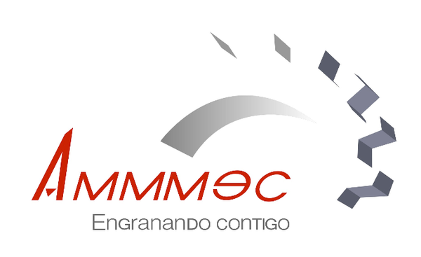 AMMMEC SA DE CV