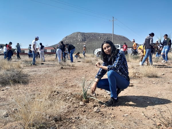 Reforesta Arian Silver y alumnos del CECyTE Saucito con más de 300 palmas yucca