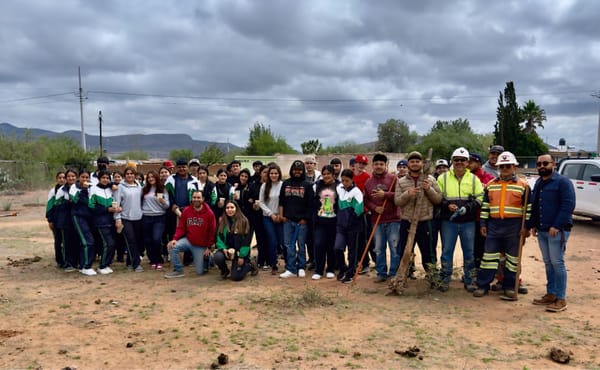 Reforesta Arian Silver 7 mil especies durante el mes de junio