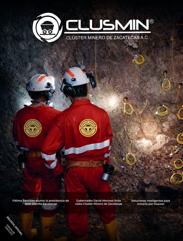 Revista clusmin #46